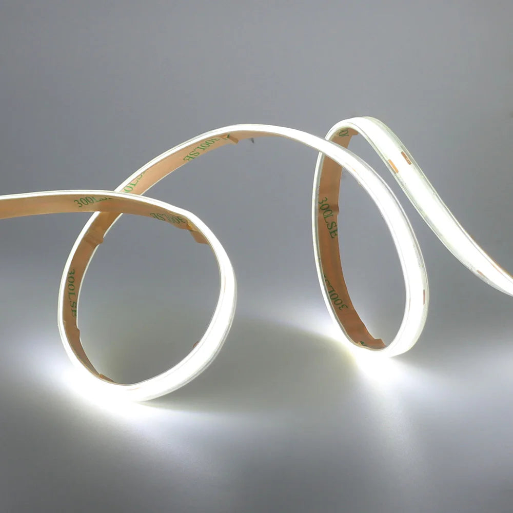 Waterproof COB LED Strip Light IP67 12V/24V