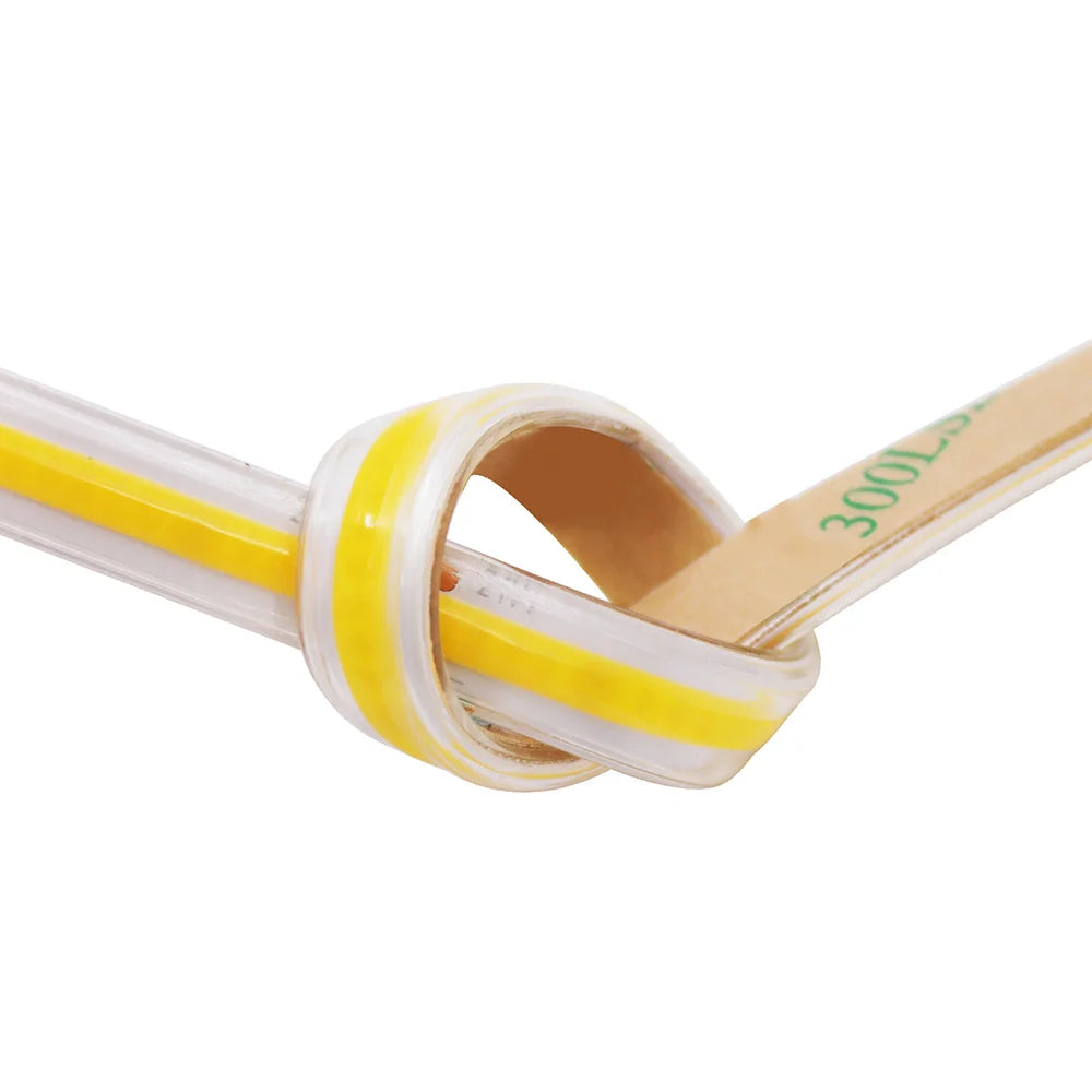 Waterproof COB LED Strip Light IP67 12V/24V