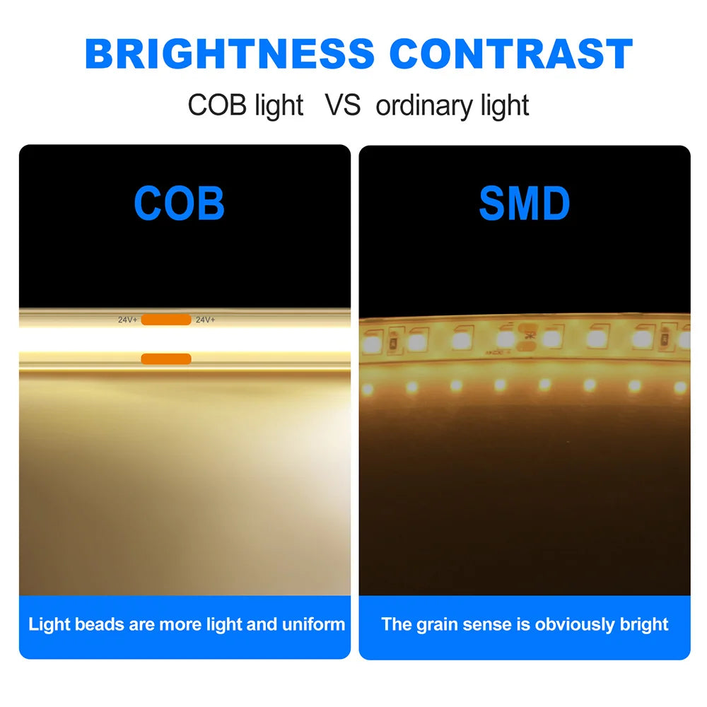 Waterproof COB LED Strip Light IP67 12V/24V